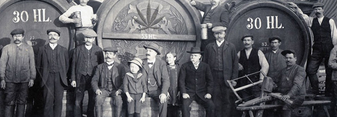 история конопляного пива Как появилось конопляное пиво