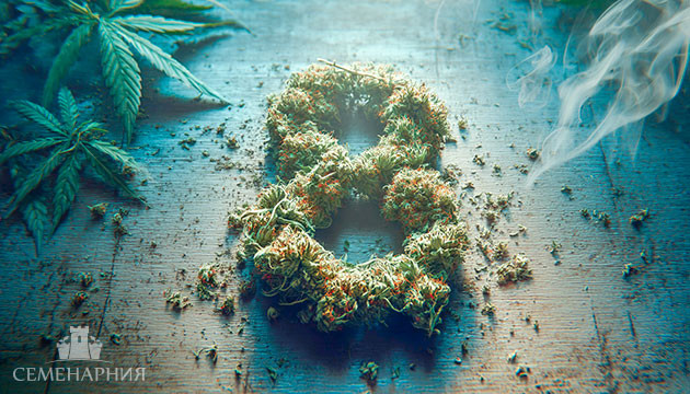 Топ 8 каннабиноидов и их особенности