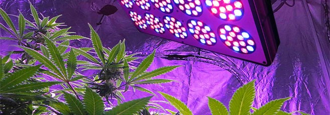 Apollo LED освещение Apollo