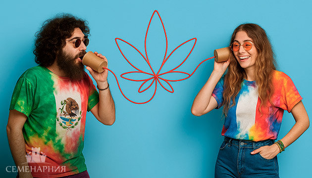 Как называют марихуану в разных странах мира Мировой канна-сленг