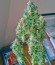 Сорт Fast Bud #2 Auto fem (Sweet Seeds)