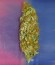 Сорт Crazy Miss Hyde fem (Samsara Seeds)