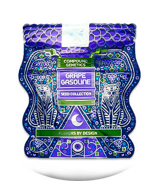 Giggin' Grapes fem (Compound Genetics)