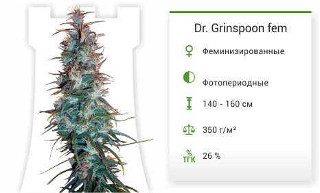 Dr. Grinspoon от Barney's Farm