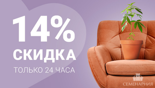 Скидка на все Скидка 14%