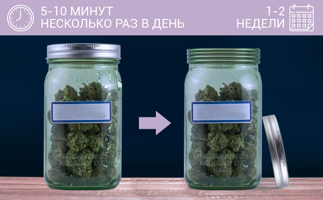 Проветривать 5 минут в день в течение недели